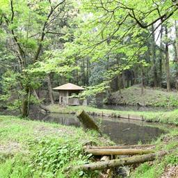 勝間田の池