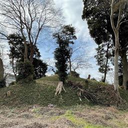 青菅の大塚・小塚