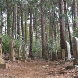 下総まわたし宿百観音