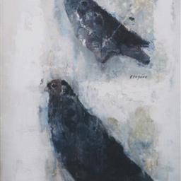 黒い鳩